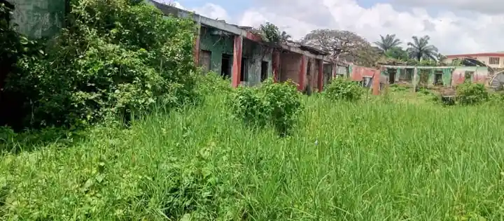 The old block, overgrown with grass, before its reconstruction